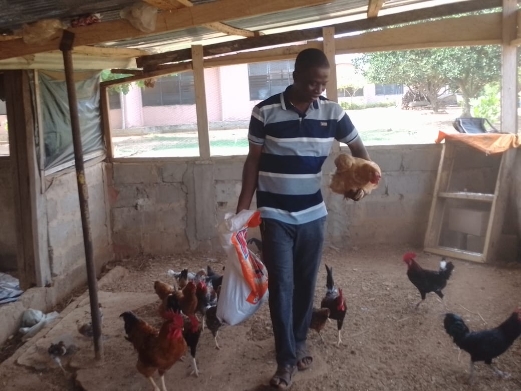 Poultry farm at Volta School for the Deaf